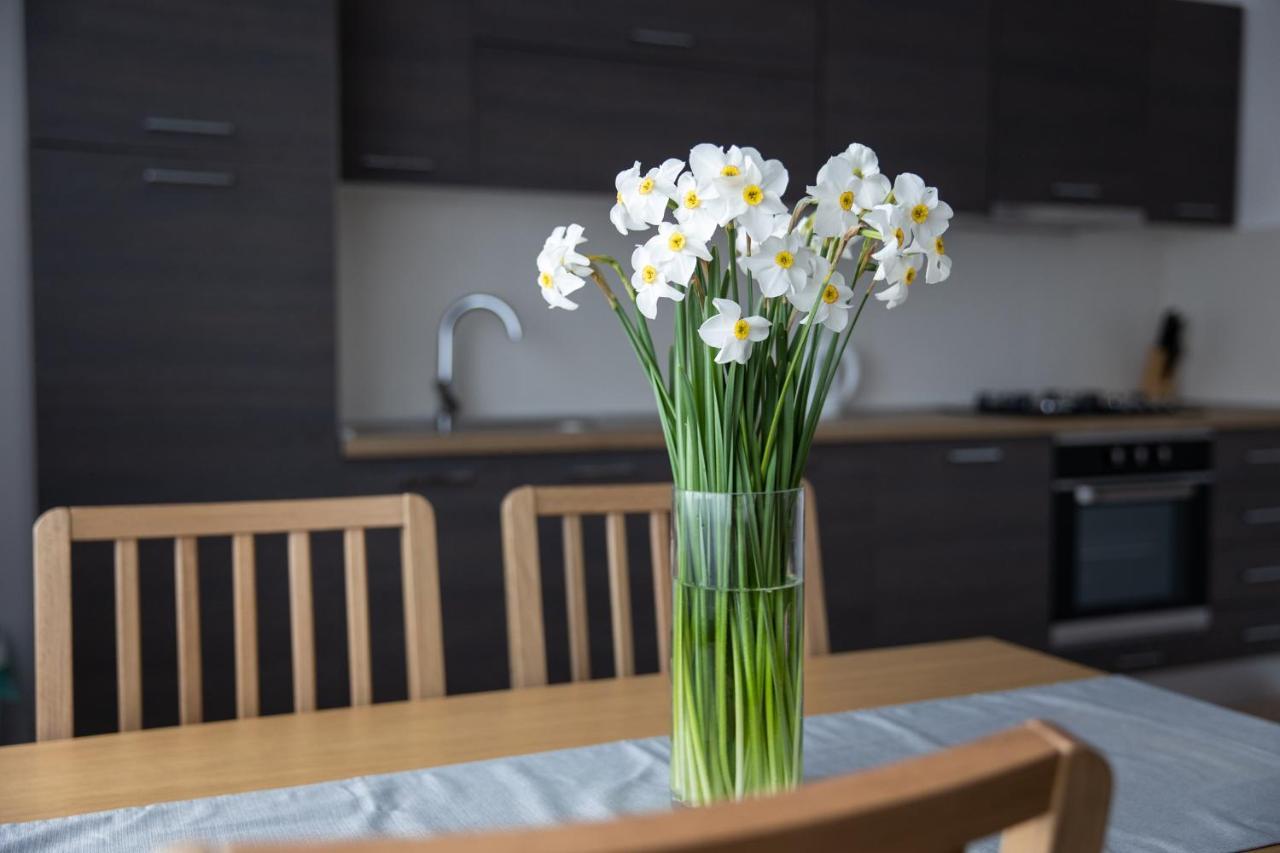 Apartman Ena Бьеловар Экстерьер фото